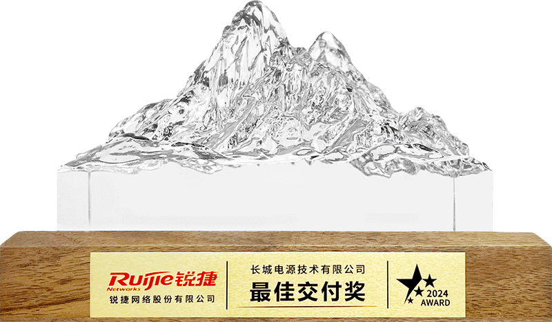 锐捷最佳交付奖